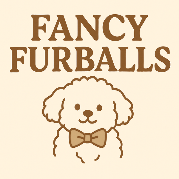 fancy furball